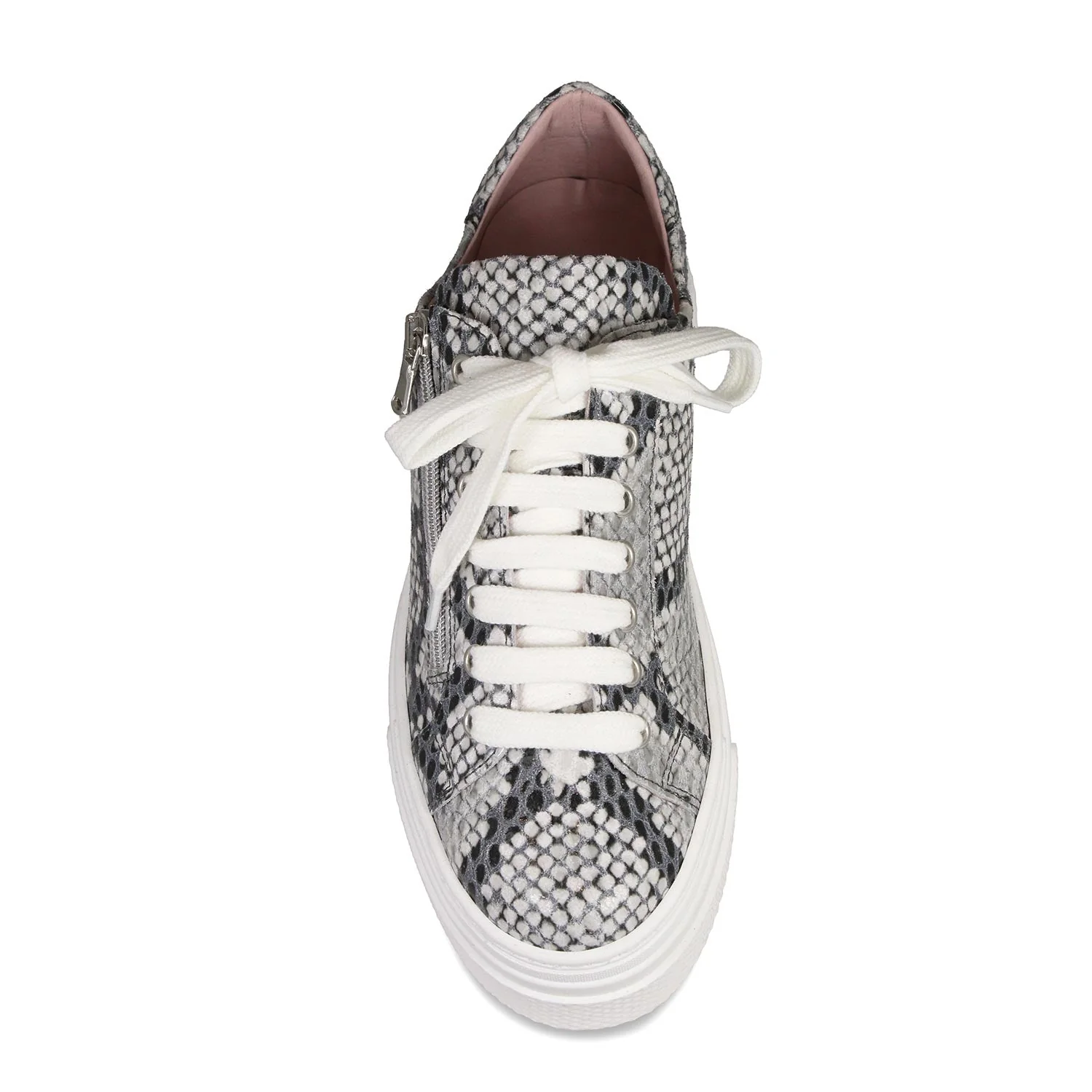 Diva: Snake Print Leather - Image 3