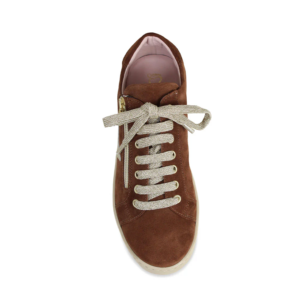 Hampton Star: Chestnut Suede & Gold - Image 4