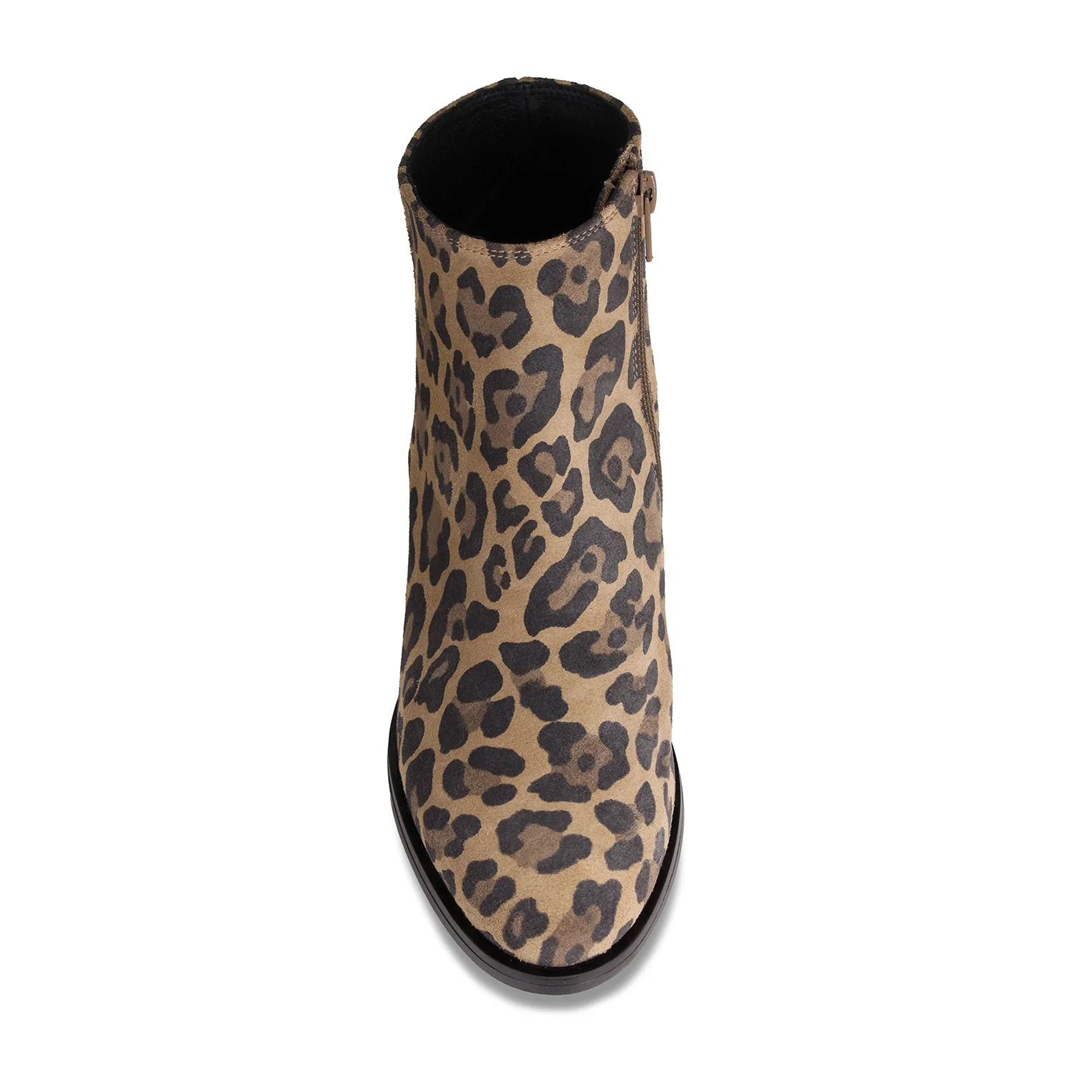 Zen: Luxe Leopard Suede - Image 4
